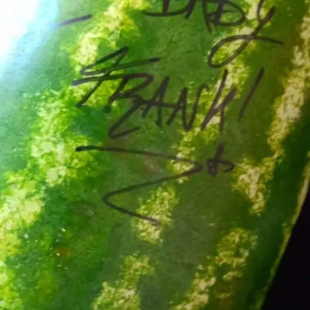 Casa Giotto * Aradeo